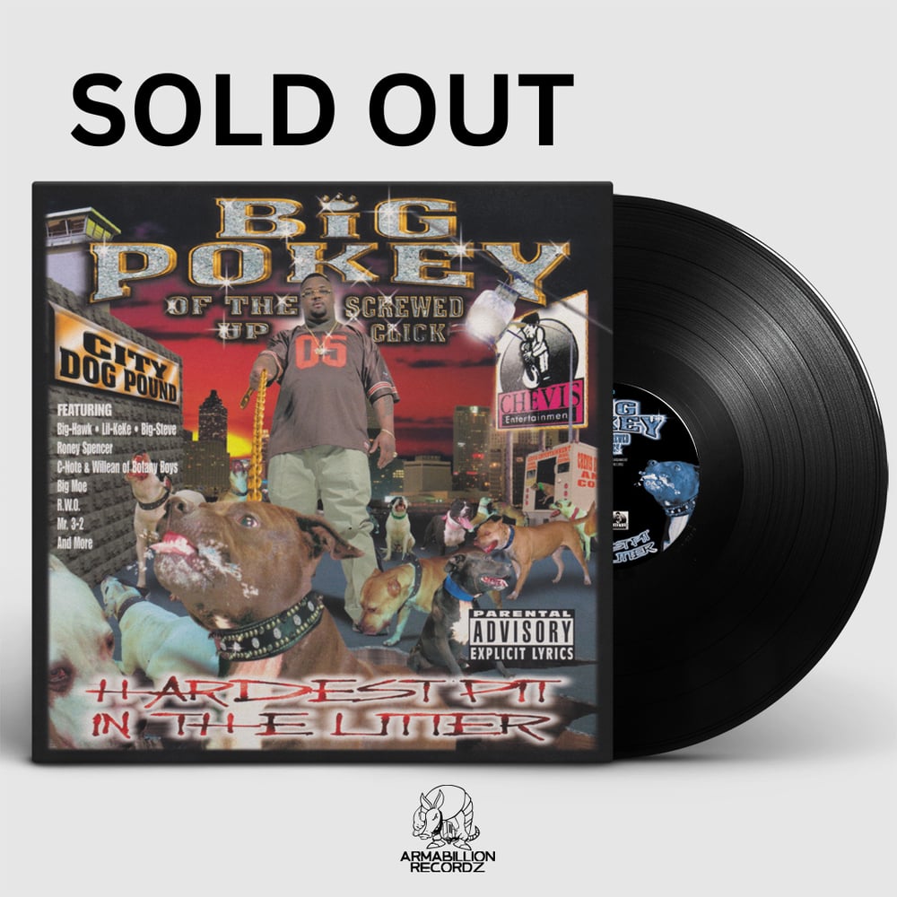 Armabillion Recordz — BiG PoKeY-HaRdEsT PiT In ThE LiTTeR